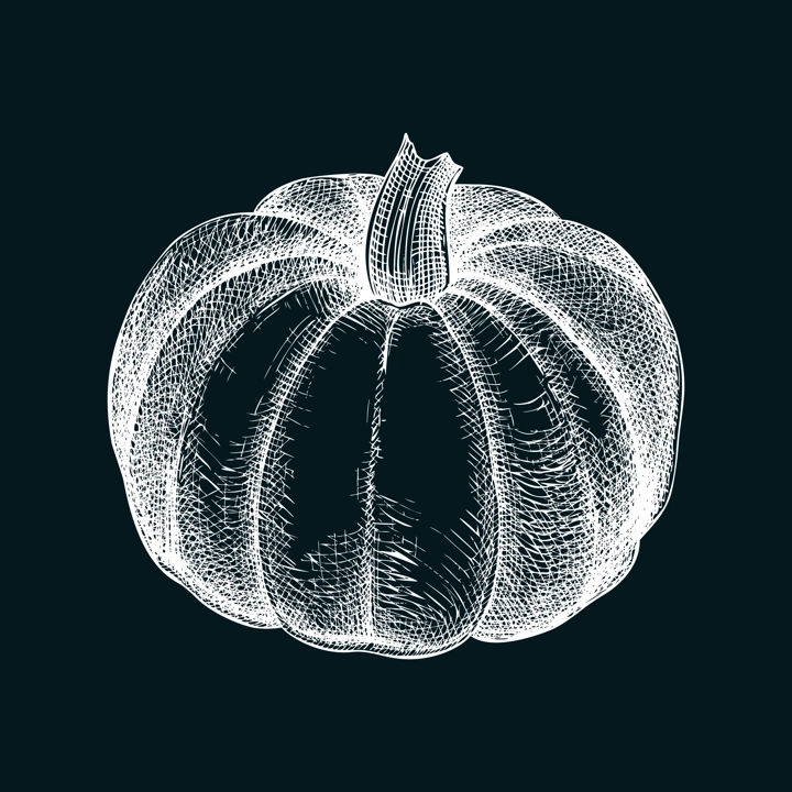 Pumpkin sketch. Autumn vegetable hand-drawn vector illustration on chalkboard. Vintage Thanksgiving day design element. NOT AI generated
